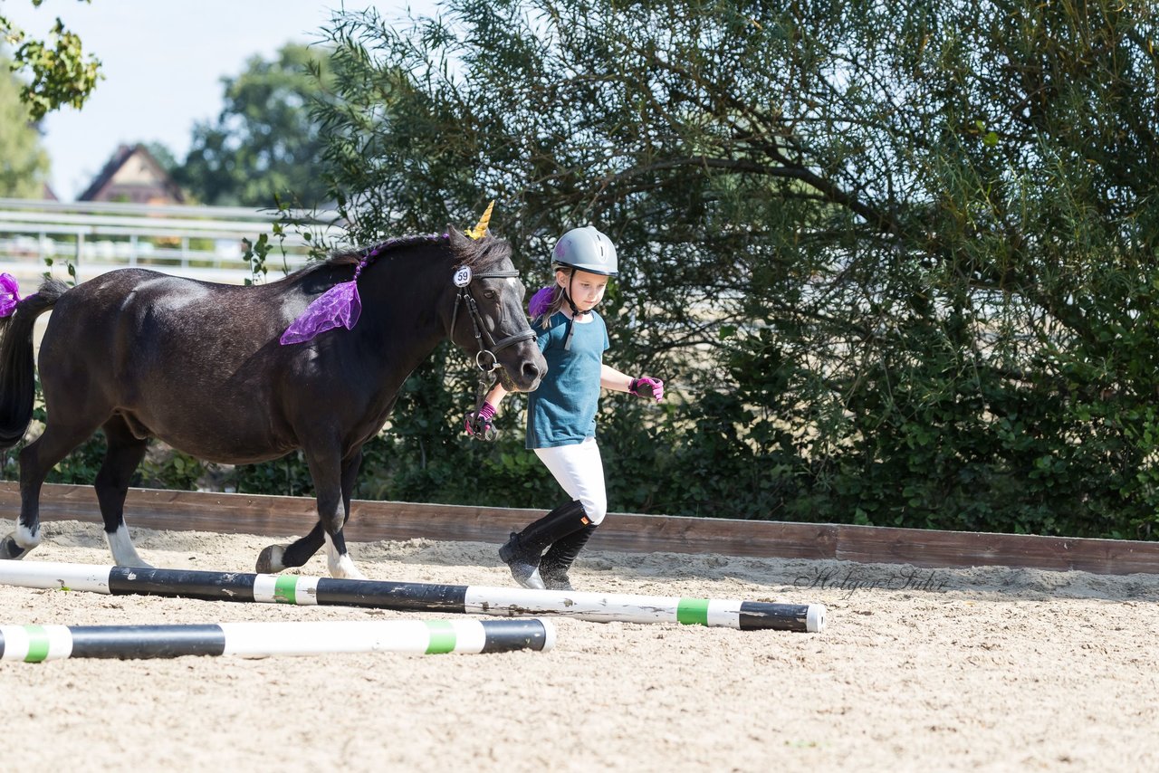 Bild 189 - Pony Akademie Turnier